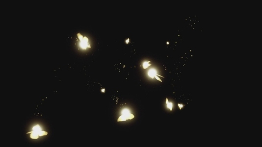 Fairy Magic VFX Overlay 13