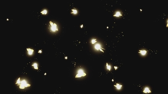 Fairy Magic VFX Overlay 15