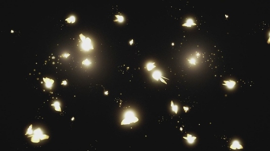 Fairy Magic VFX Overlay 16