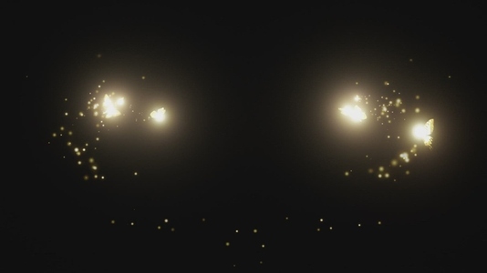 Fairy Magic VFX Overlay 18