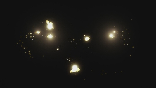 Fairy Magic VFX Overlay 17