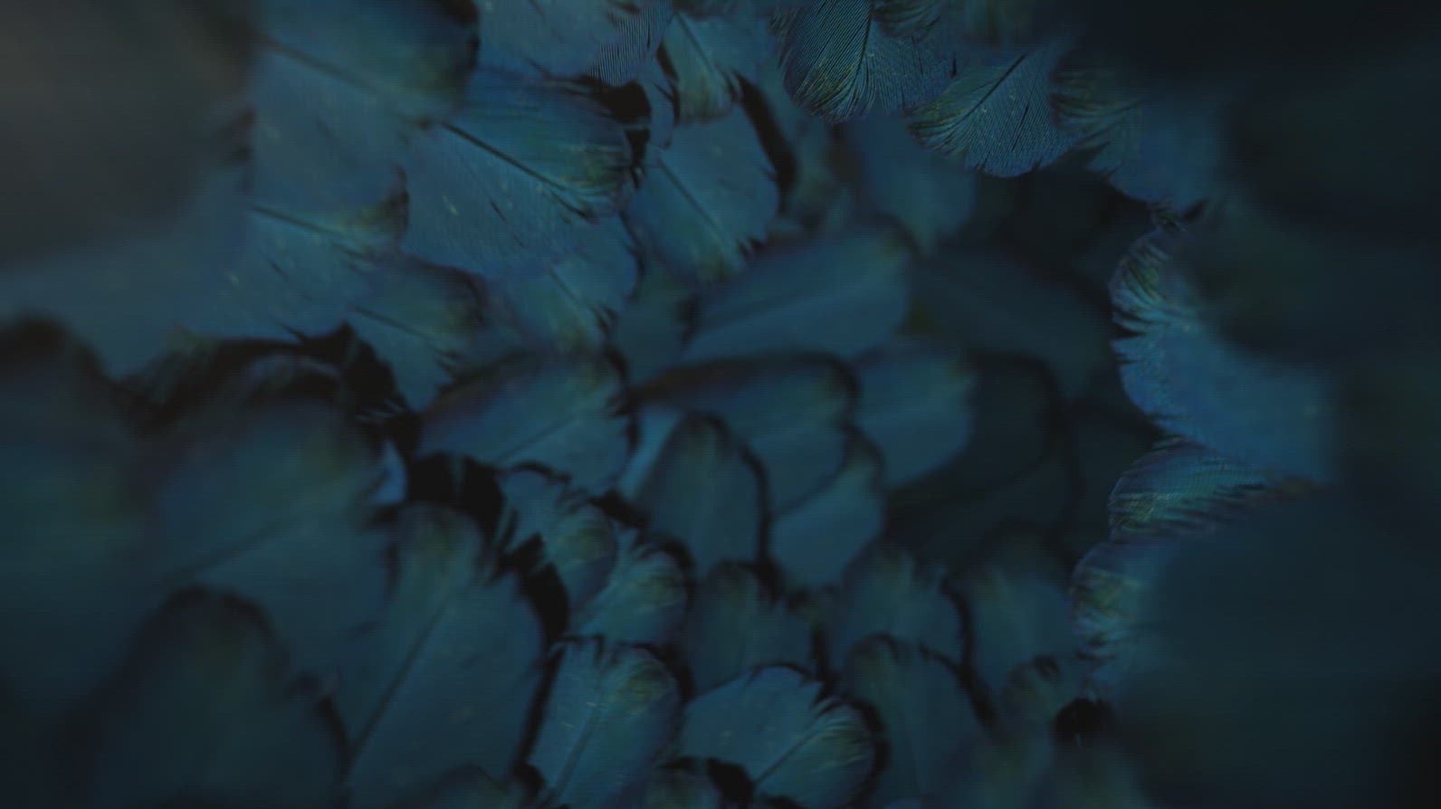 Nature Tunnel Background Loop 3