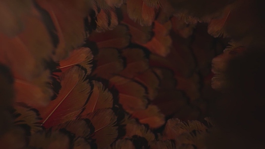 Nature Tunnel Background Loop 7