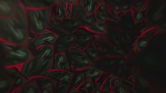 Nature Tunnel Background Loop 10