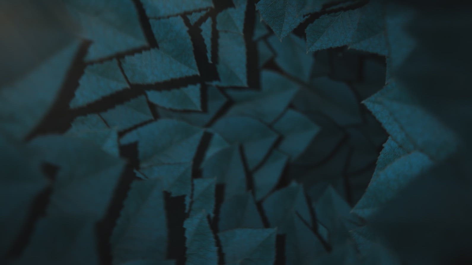 Nature Tunnel Background Loop 12