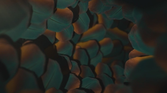 Nature Tunnel Background Loop 14