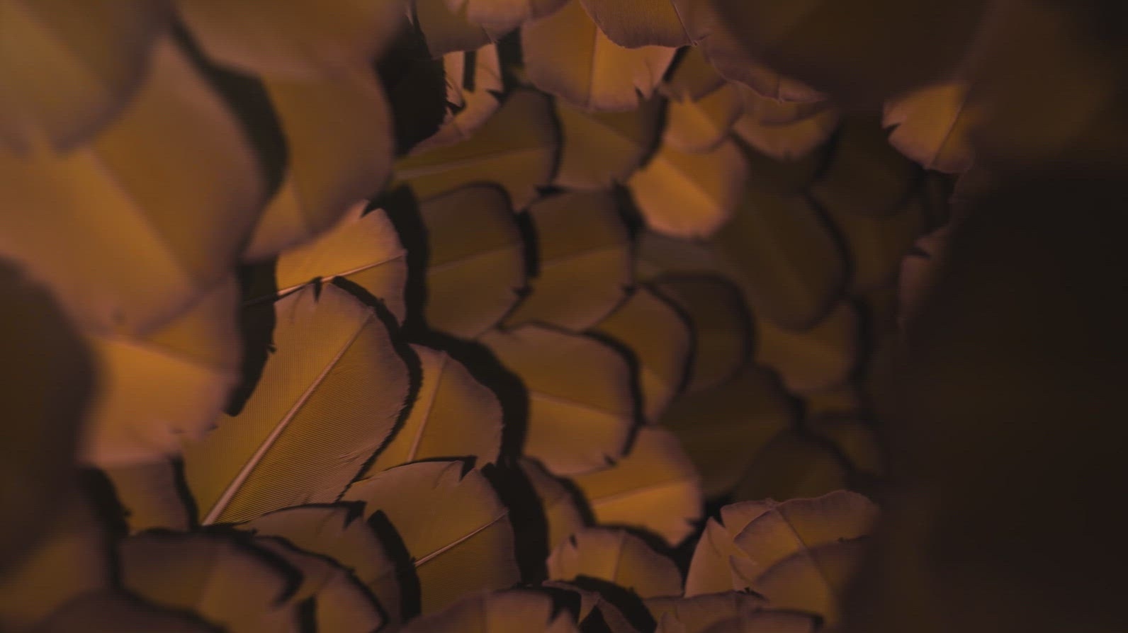 Nature Tunnel Background Loop 13