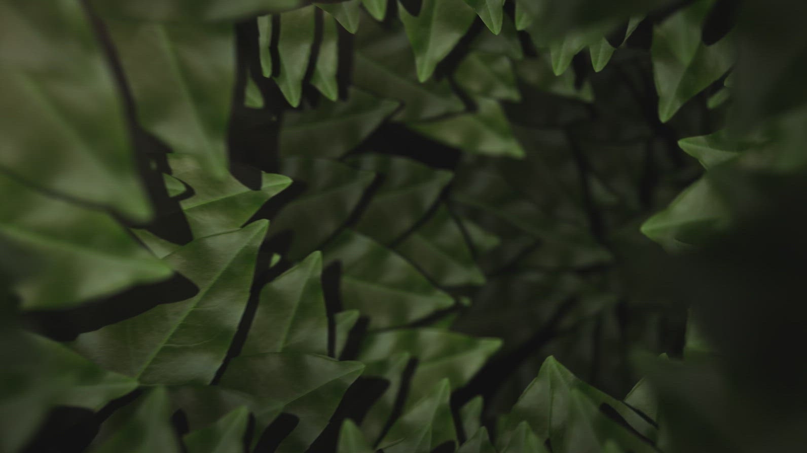 Nature Tunnel Background Loop 19