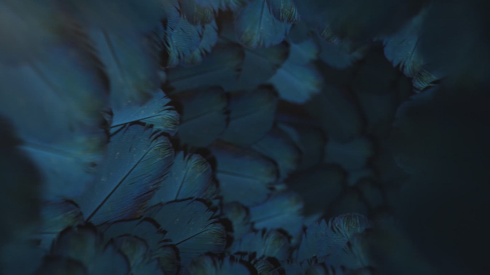 Nature Tunnel Background Loop 23