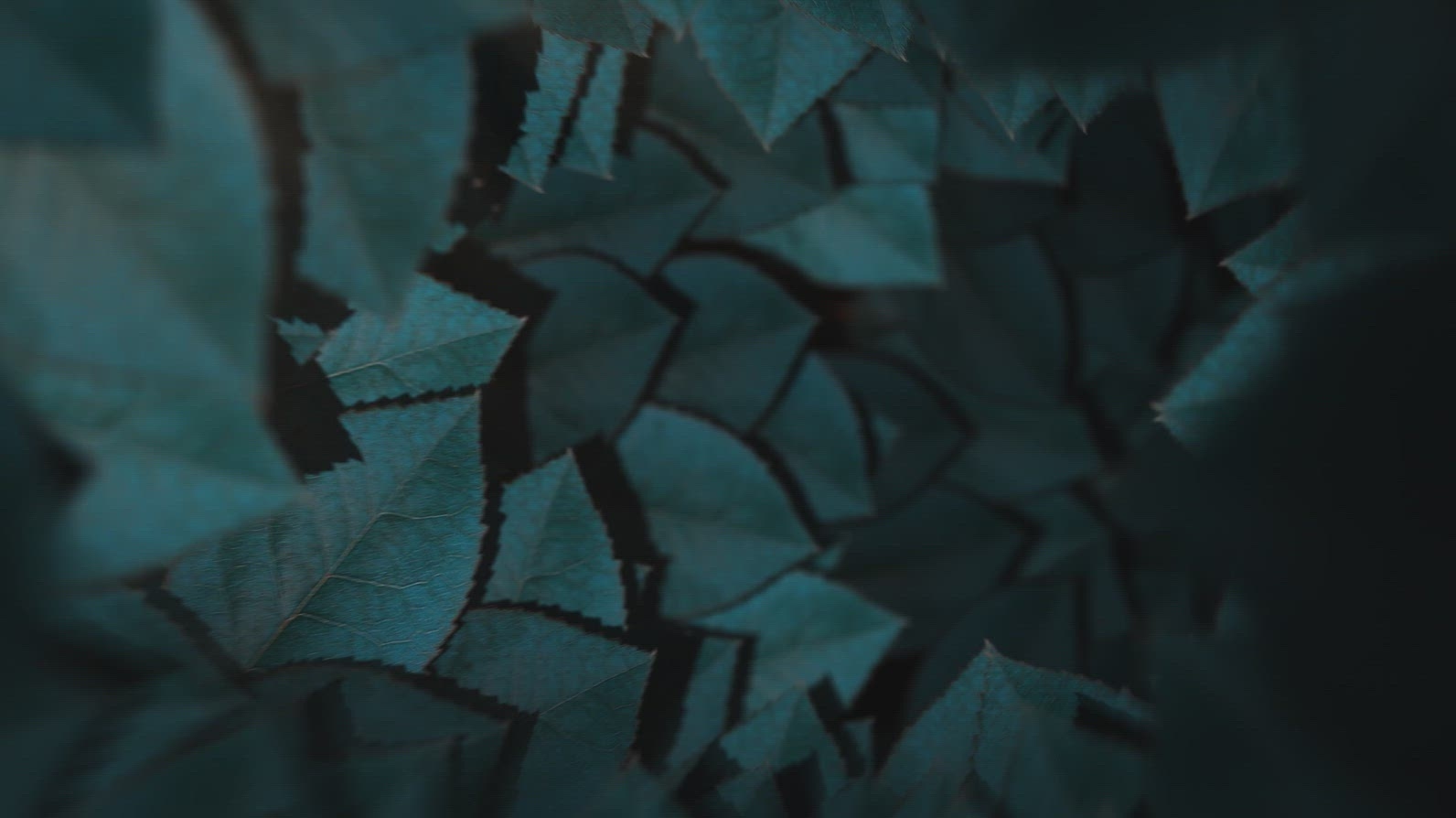 Nature Tunnel Background Loop 26