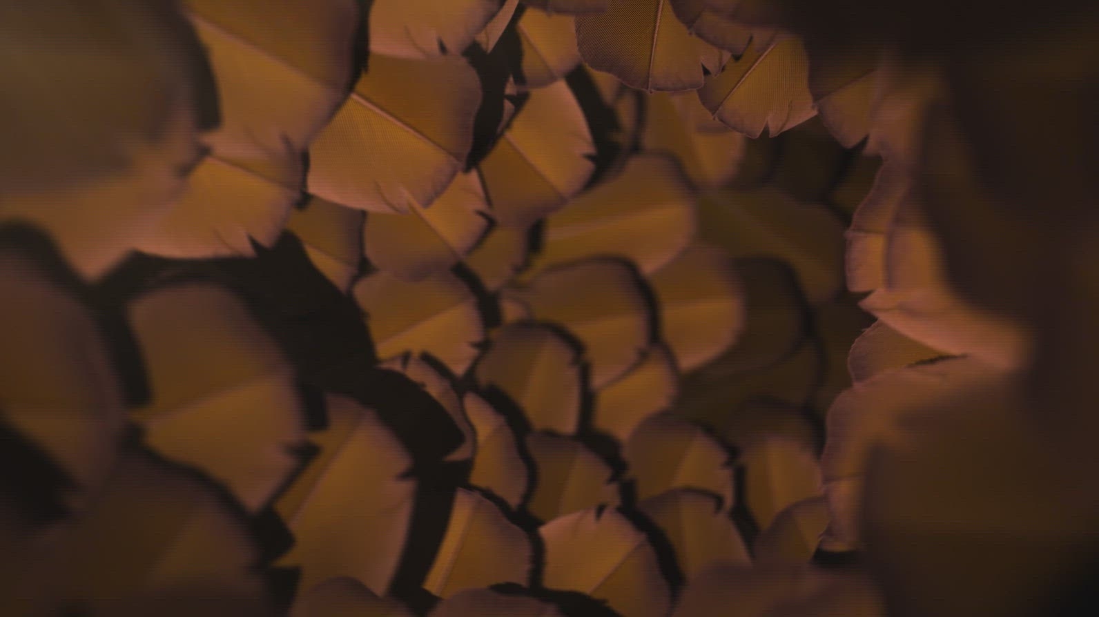 Nature Tunnel Background Loop 27