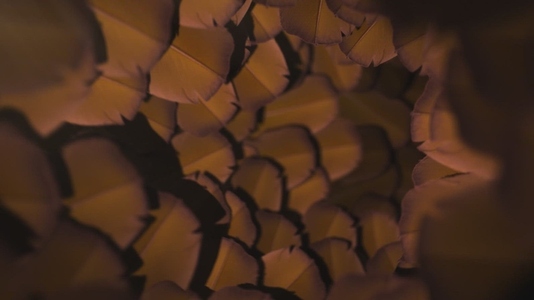 Nature Tunnel Background Loop 27