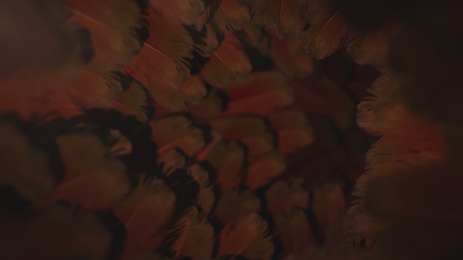 Nature Tunnel Background Loop 30