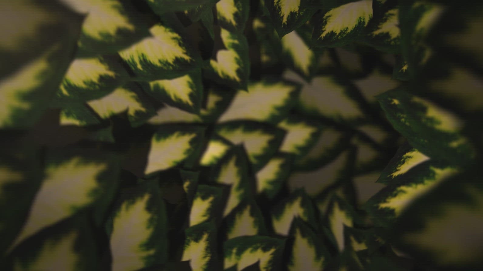 Nature Tunnel Background Loop 31