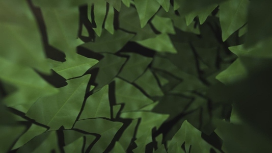 Nature Tunnel Background Loop 33