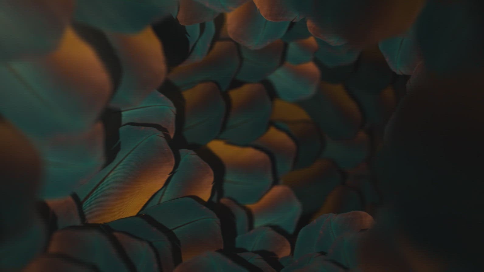 Nature Tunnel Background Loop 36