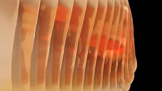 Liquid Transition 3D