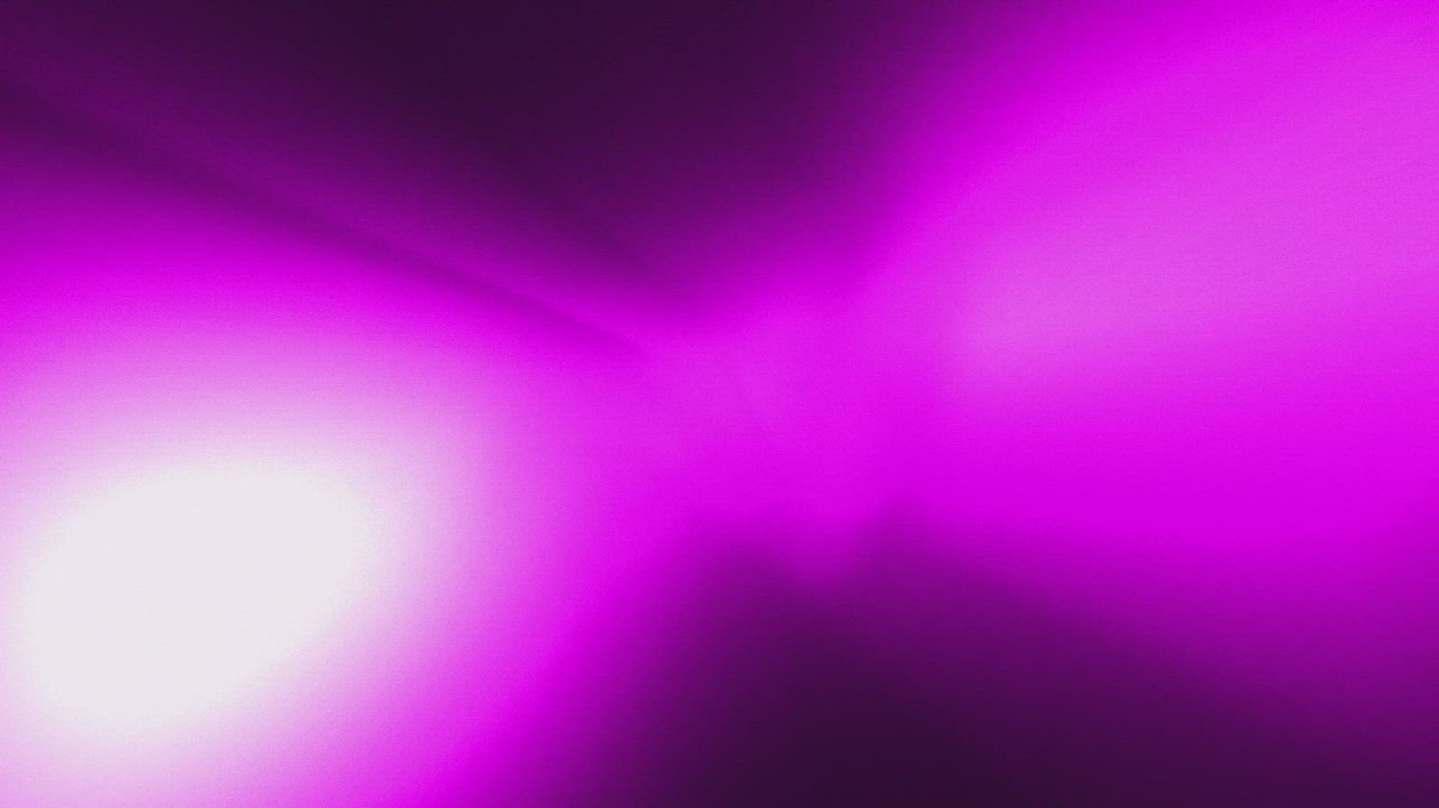 Neon Vibrant Color Gradient Curves in Motion Background
