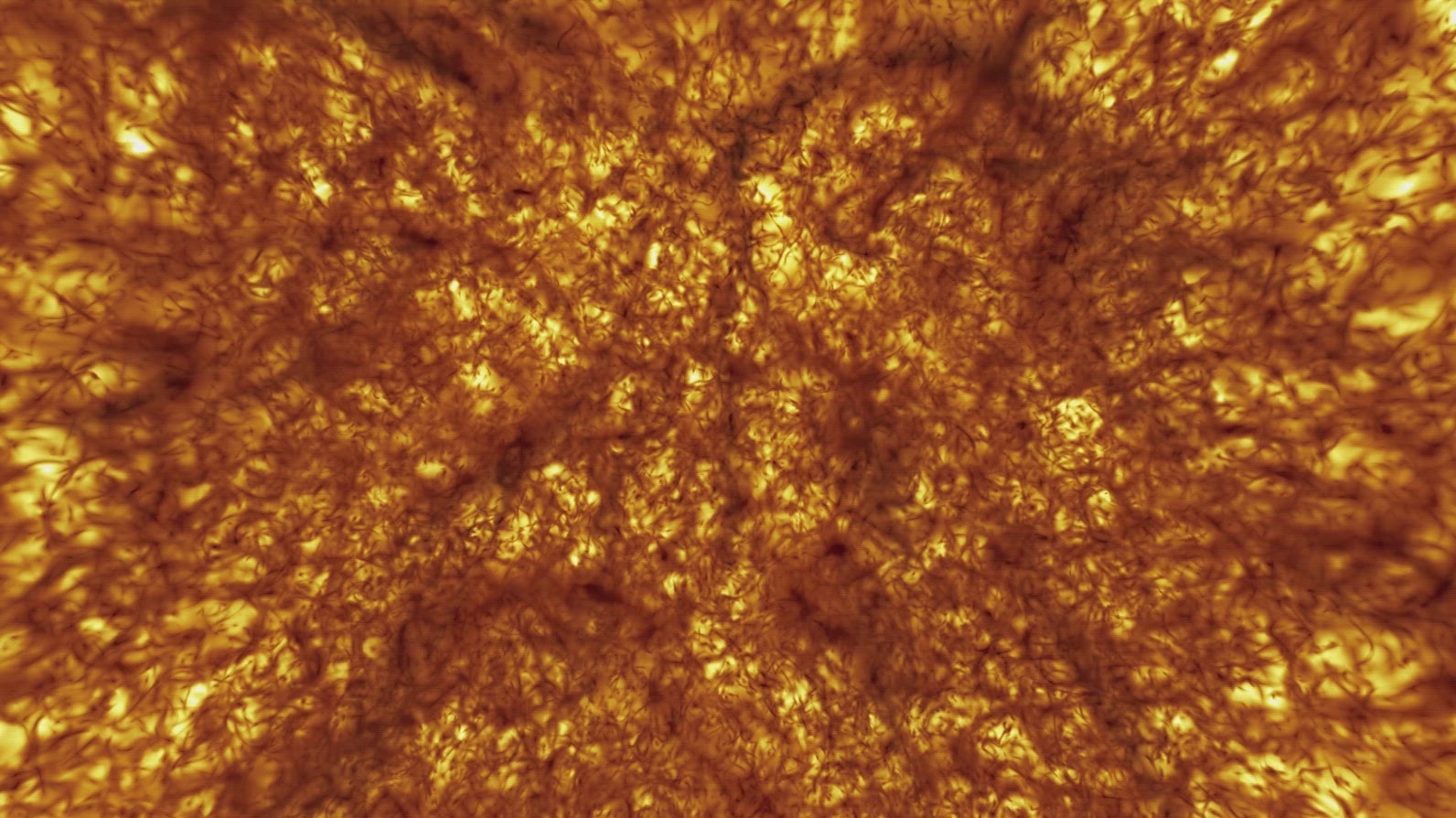 Fiery Plasma And Solar Energy Motion Background