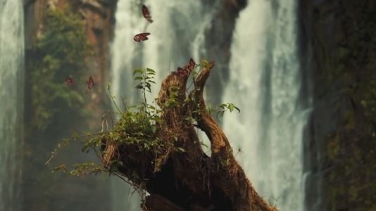 Monarch Butterflies Flying in Front of Waterfall