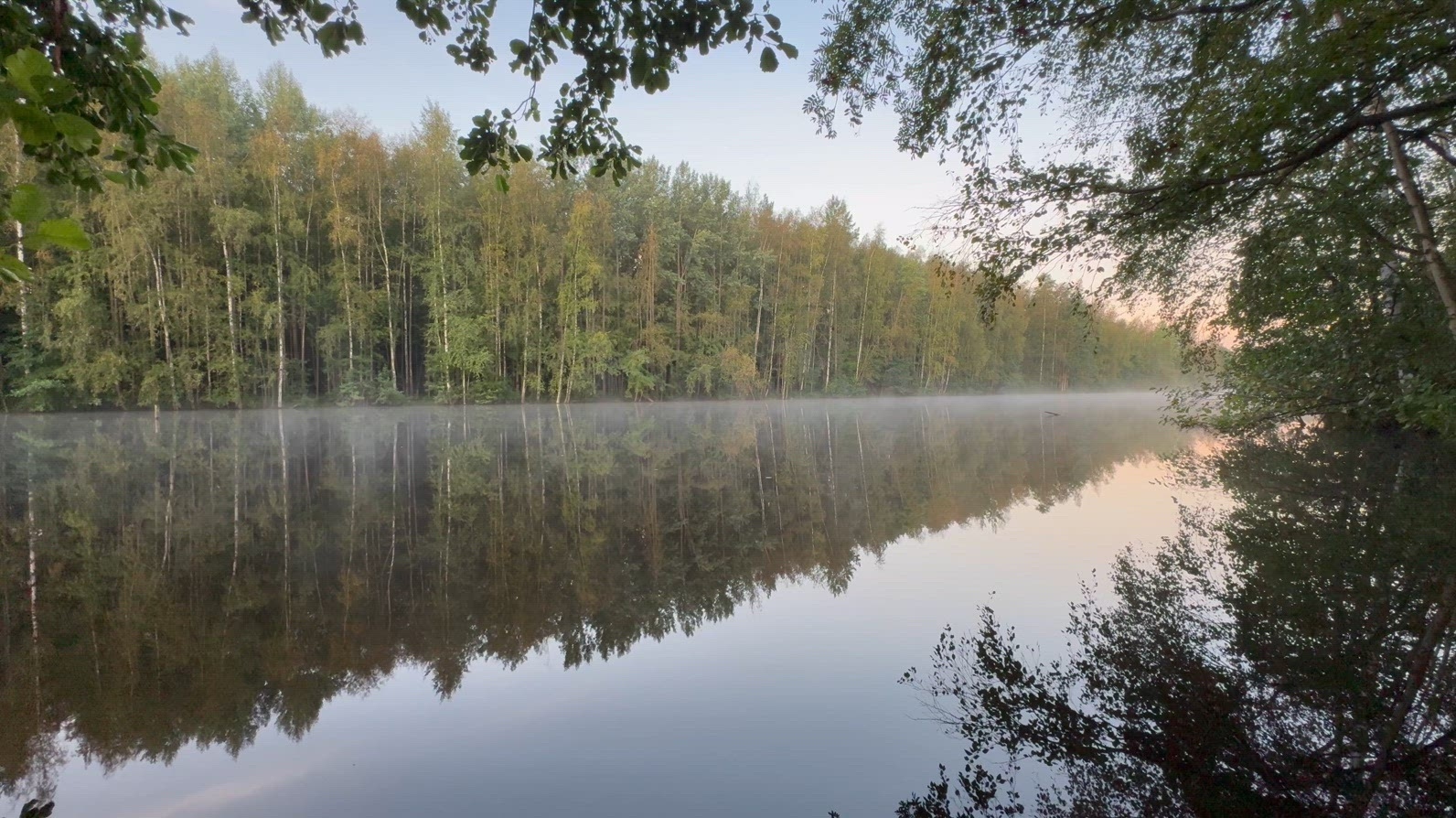 A serene lake reflecting a dense forest with mist on the waters