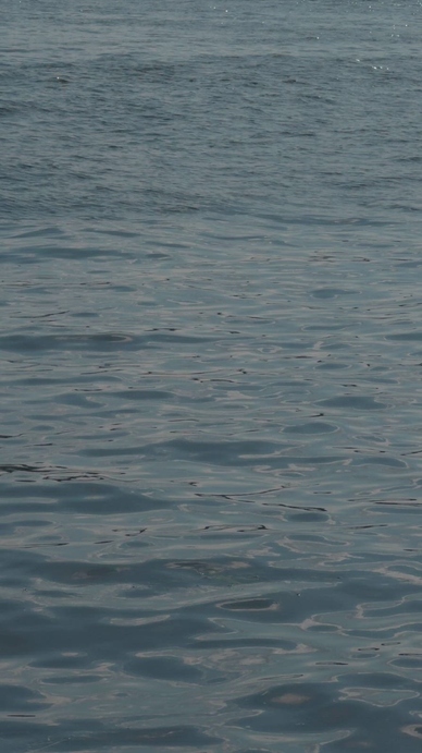 Calm water surface with gentle ripples and reflections