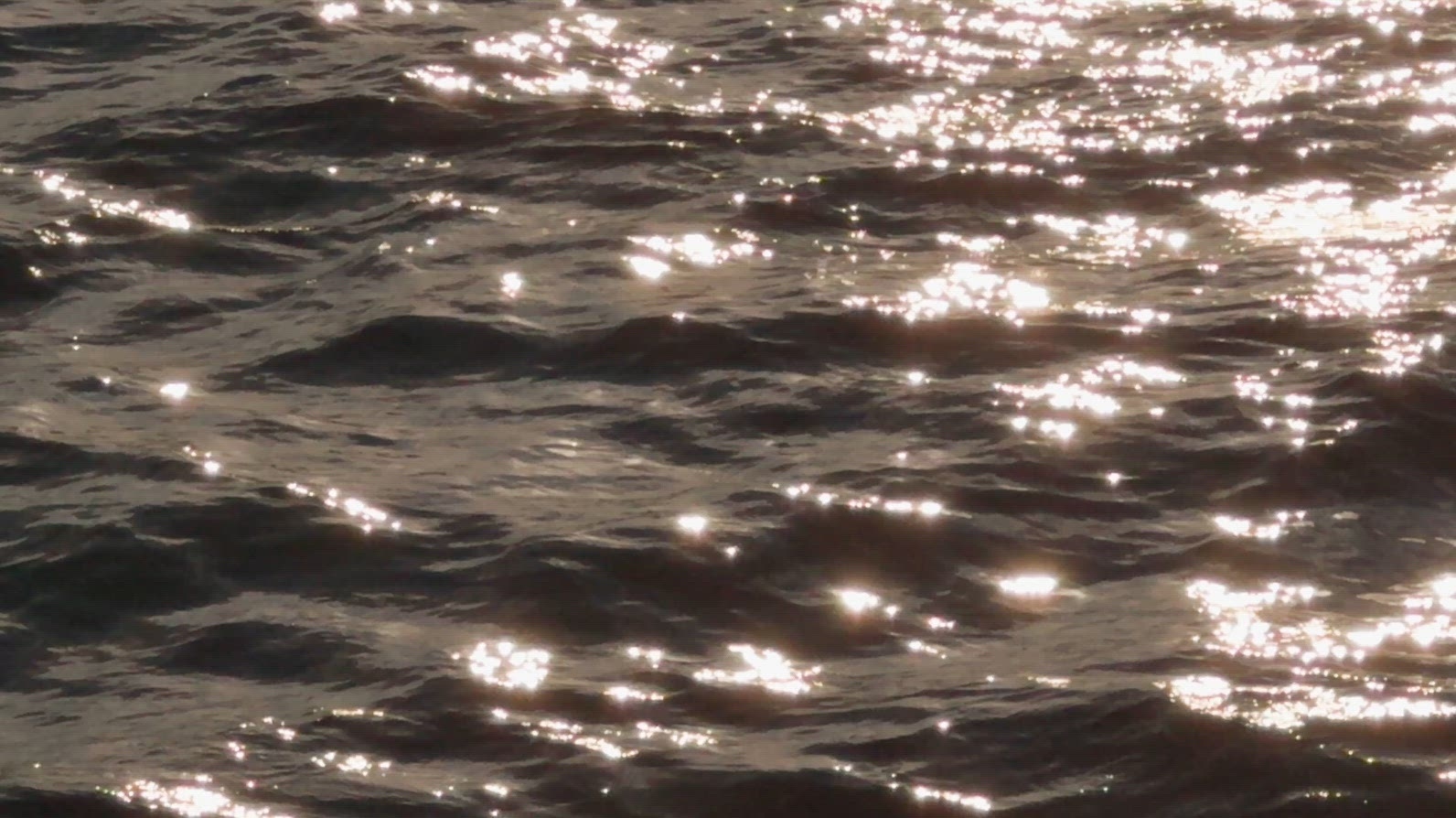 Shimmering water surface with sunlight reflections