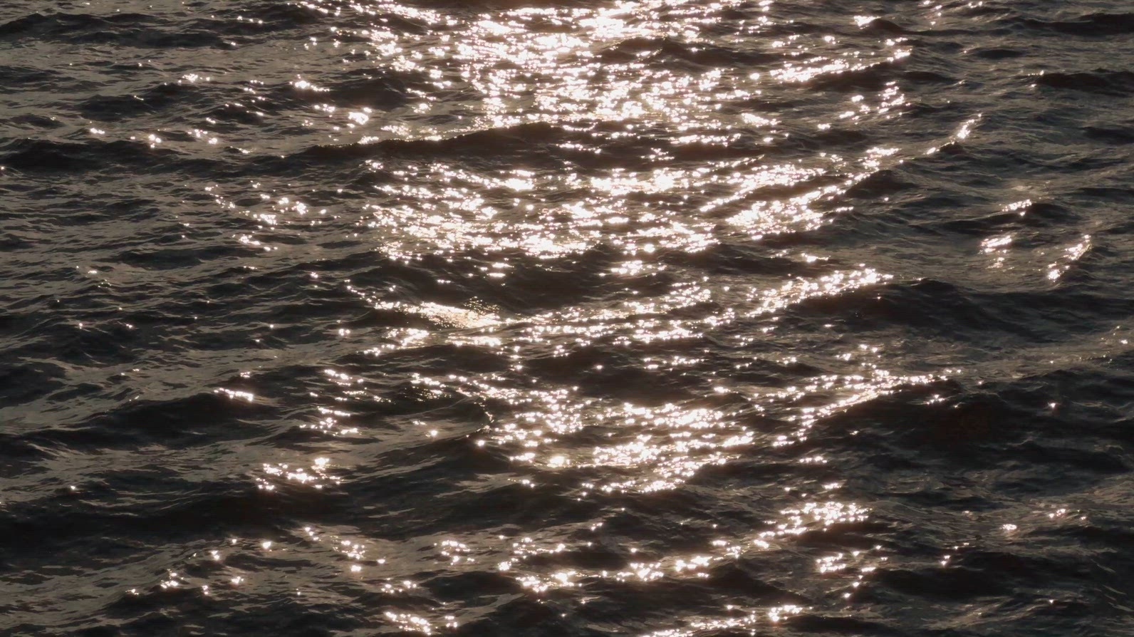 Sunlight reflecting on water surface, creating shimmering patter
