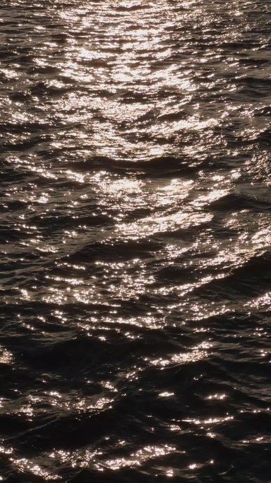 A shimmering surface of water reflecting sunlight