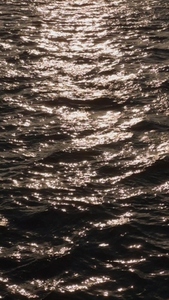 A shimmering surface of water reflecting sunlight