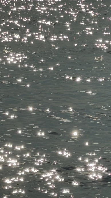 Sparkling sunlight reflecting on water surface shimmering effect