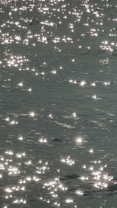 Sparkling sunlight reflecting on water surface shimmering effect