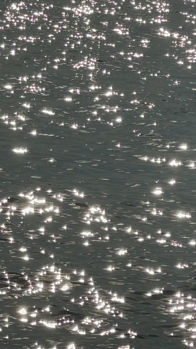 Sparkling water surface with sunlight reflections