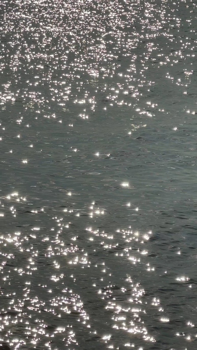 A shimmering surface of water reflecting sunlight