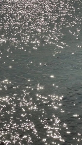A shimmering surface of water reflecting sunlight
