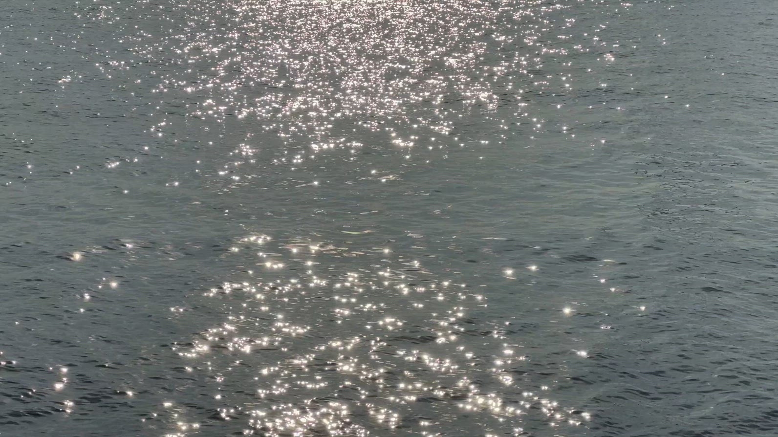 Sparkling sunlight reflecting on calm water surface