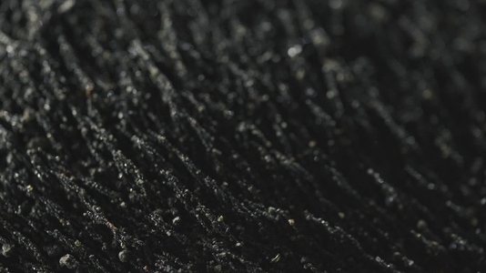 Magnetic Volcanic Sand Macro Flowing With Magnetic Field