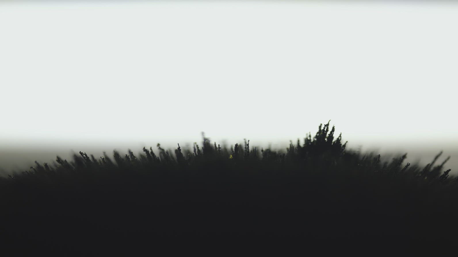 Magnetic Field Shaping Volcanic Rocky Sand In Macro View