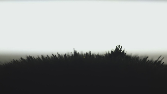 Magnetic Field Shaping Volcanic Rocky Sand In Macro View