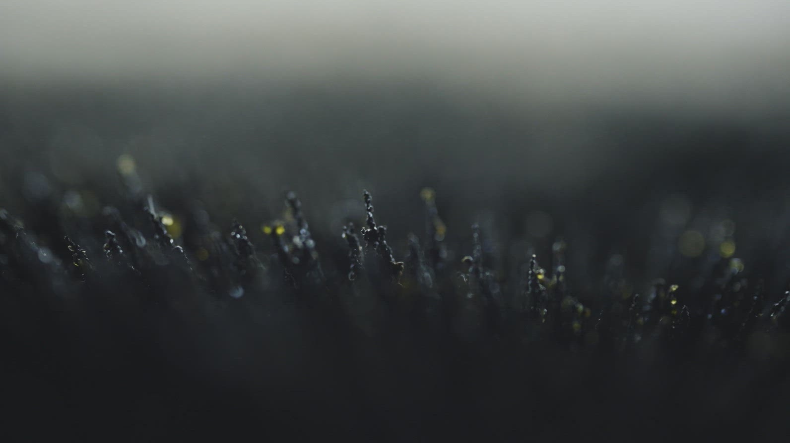 Macro Footage of Volcanic Sand Particles Forming Magnetic Shapes