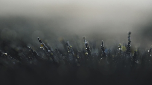 Volcanic Rocky Sand Macro Shot Forming Magnetic Spikes