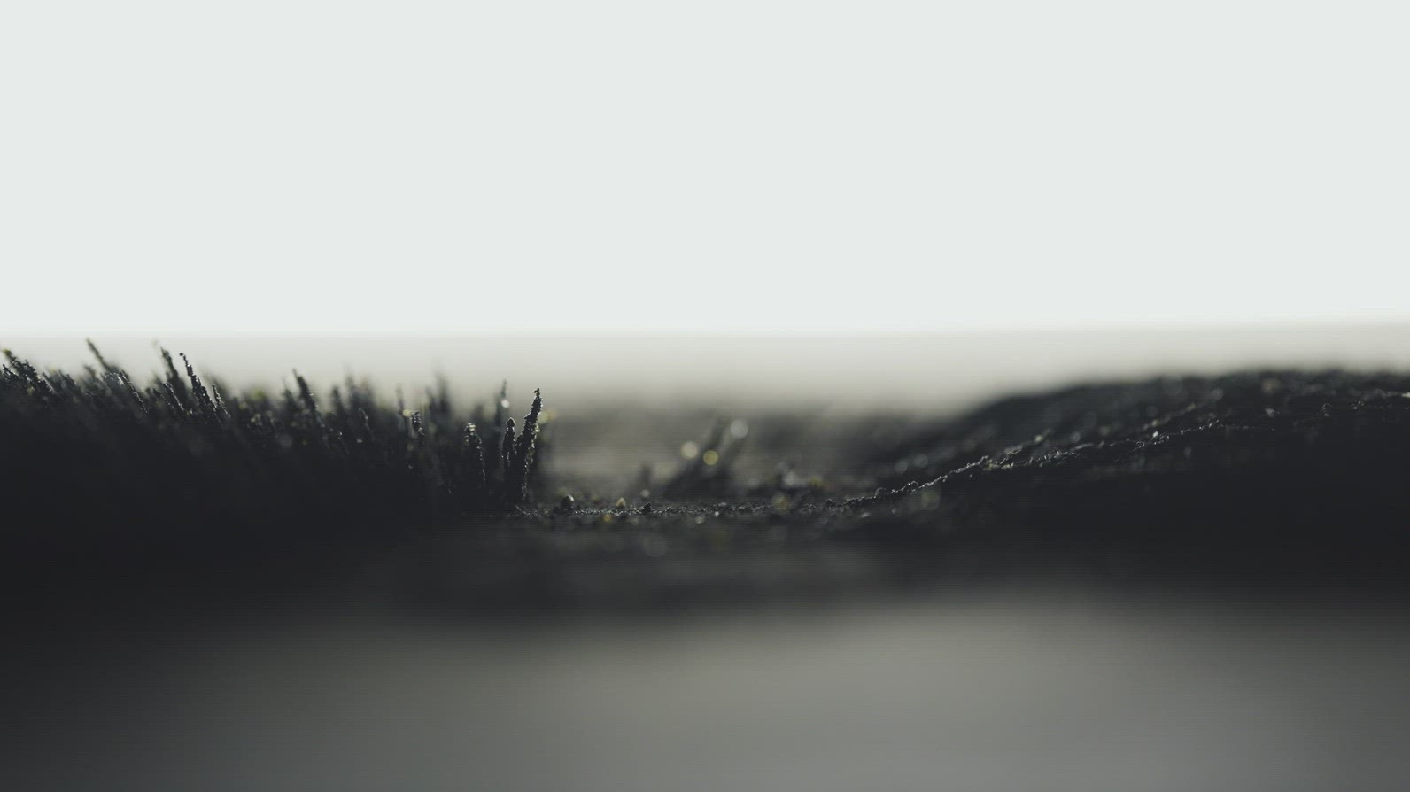 Black Volcanic Sand Particles Reacting To Magnetism Macro