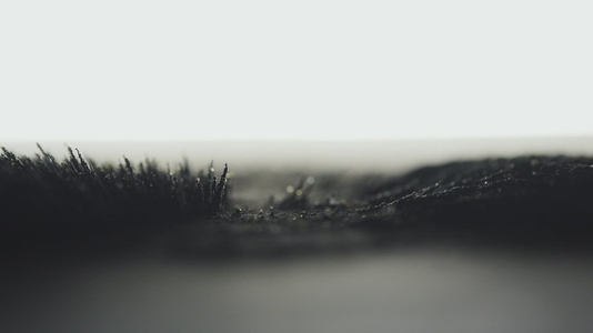 Black Volcanic Sand Particles Reacting To Magnetism Macro