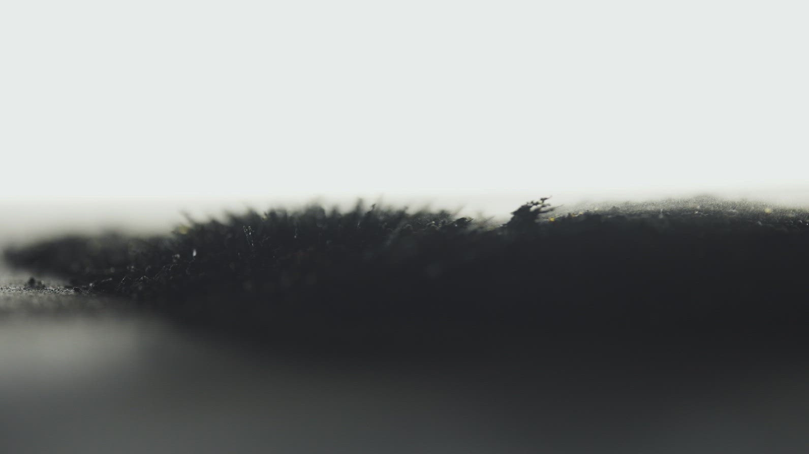 Dark Iron Dust Moving With Magnetism Under Macro Lens