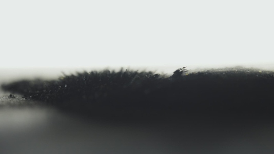 Dark Iron Dust Moving With Magnetism Under Macro Lens