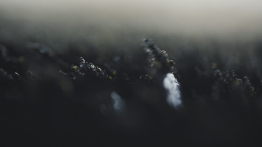 Macro Magnetic Field Affecting Volcanic Sand Particles