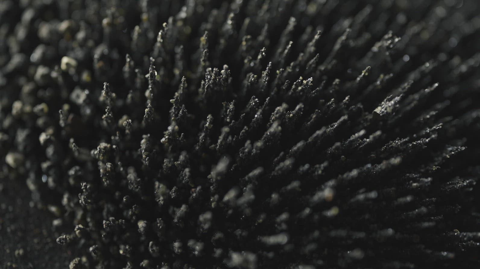 Iron Dust Macro Abstract Magnetic Shapes
