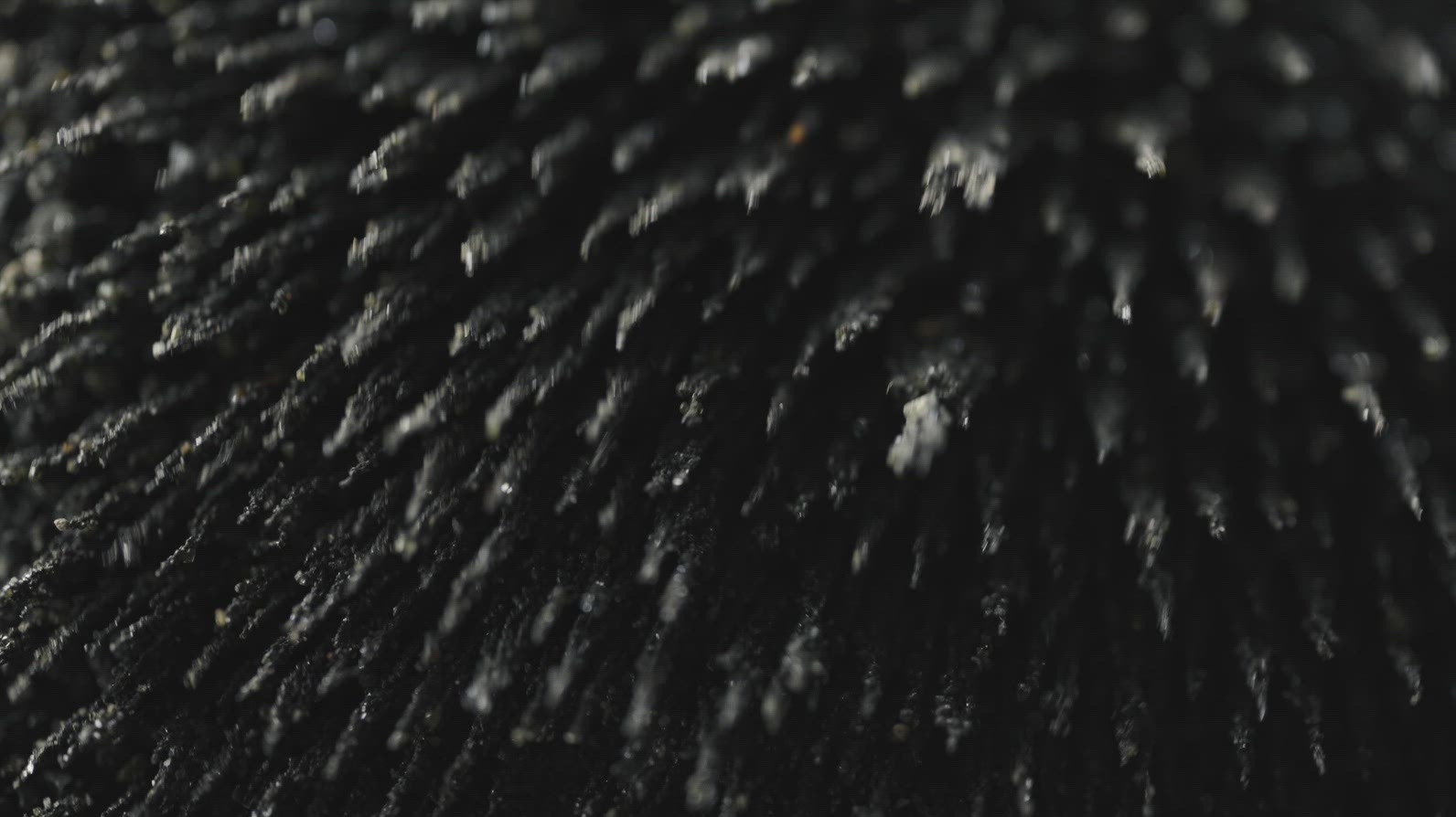 Magnetic Field Effect On Iron Dust Macro Abstract