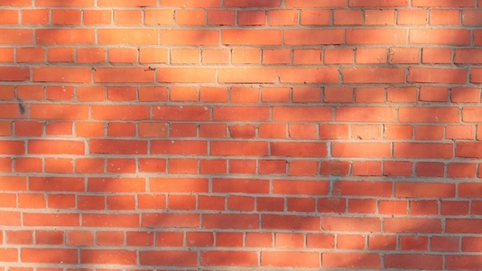 A textured red brick wall background with tree shadows cast
