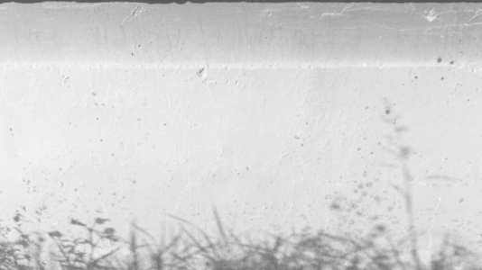 A monochrome image featuring a textured surface background